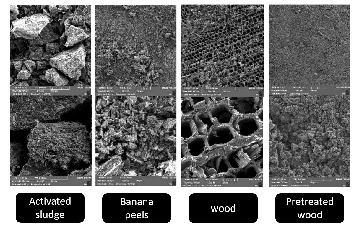 Biochar structure
